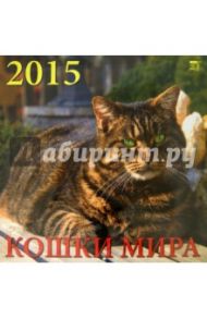 Календарь 2015 "Кошки мира" (70519)