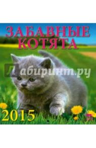 Календарь настенный на 2015 год "Забавные котята" (30505)