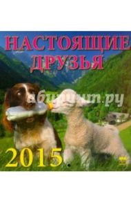 Календарь настенный на 2015 год "Настоящие друзья" (30506)