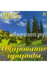 Календарь настенный на 2015 год "Очарование природы" (30511)