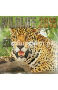 Календарь 2015 "Wildlife" (2236)