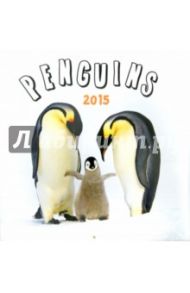 Календарь 2015 "Penguins" (2237)