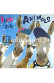 Календарь 2015 "Funny Animals" (2240)