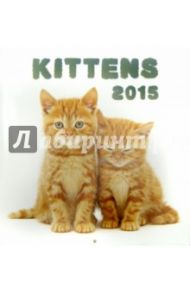 Календарь 2015 "Kittens" (2242)