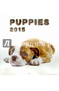 Календарь 2015 "Puppies" (2245)