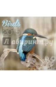 Календарь 2015 "Birds Kingfisher World" (2388)