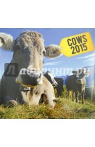 Календарь 2015 "Cows" (2425)