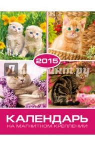 Календарь на 2015 год "Кошки" (на магнитном креплении) (35772-36)