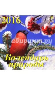 Календарь настенный на 2016 год "Календарь природы" (70608)