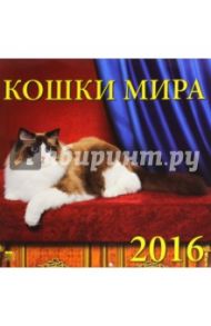 Календарь настенный на 2016 год "Кошки мира" (70619)