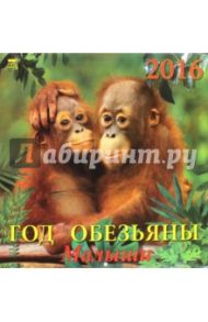 Календарь настенный на 2016 год "Год обезьяны. Малыши"