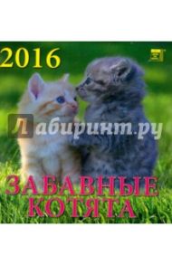 Календарь настенный на 2016 год "Забавные котята" (30605)