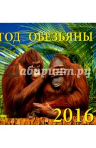 Календарь настенный на 2016 год "Год обезьяны" (30607)