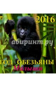 Календарь настенный на 2016 год "Год обезьяны. Малыши" (30608)