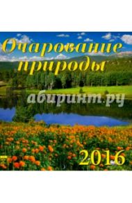 Календарь настенный на 2016 год "Очарование природы" (30611)