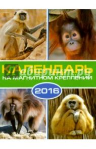 Календарь на 2016 год. СИМВОЛ ГОДА 2 (на магните) (39584-36)