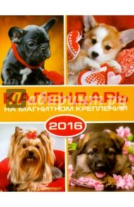 Календарь на 2016 год. СОБАКИ (на магните) (39585-36)