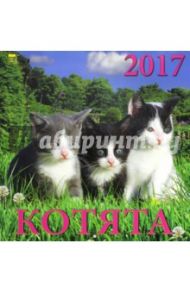 Календарь на 2017 год "Котята" (70705)