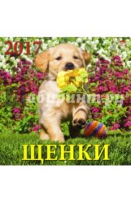 Календарь на 2017 год "Щенки" (70706)