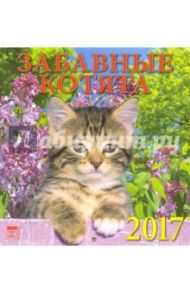 Календарь на 2017 год "Забавные котята" (30705)