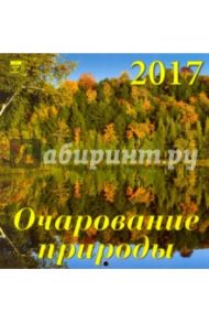 Календарь на 2017 год "Очарование природы" (30711)