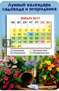 Календарь на магните 2017 "Лунный календарь"