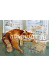 Магнит "Не будите спящего кота!"