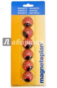 Магниты Божья коровка, 6 штук