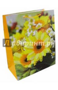 Пакет подарочный ламинированный. Размер: 327х264 мм. (LP 3061)