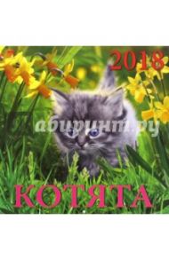 Календарь на 2018 год "Котята" (70805)