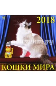 Календарь на 2018 год "Кошки мира" (70806)