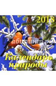 Календарь  на 2018 год "Календарь природы" (70808)