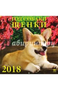 Календарь на 2018 год "Год собаки. Щенки" (70822)