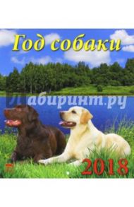 Календарь настенный на 2018 год "Год собаки" (45806)