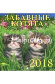 Календарь настенный на 2018 год "Забавные котята" (30805)