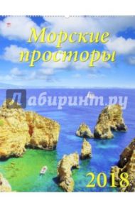 Календарь настенный на 2018 год "Морские просторы" (13809)