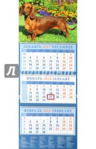 Календарь квартальный на 2018 год "Год собаки. Такса среди цветов" (14805)