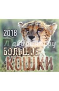 2018год. Календарь перекидной. Большие кошки