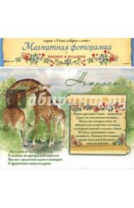 Магнитная фоторамка. Нравственные посевы "Нежность"