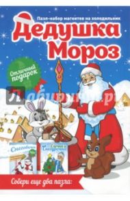 Набор магнитов "Дед Мороз"