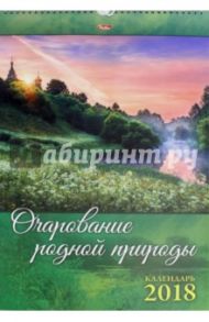 Календарь на 2018 год, настенный, перекидной, ЛЮК "Очарование родной природы" (12Кнп3гр_16829)