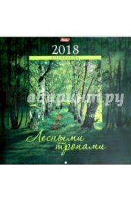 Календарь на 2018 год, настенный, перекидной "Лесными тропами" (6Кнп4_16866)