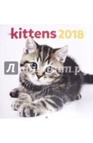 2018 Календарь "Kittens" 30*30 (PGP-4748-V)