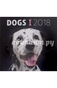 2018 Календарь "Dogs2" 30*30 (PGP-4749-V)