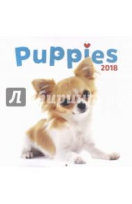 2018 Календарь "Puppies" 30*30 (PGP-4750-V)