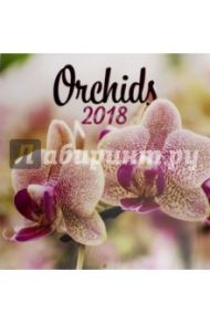 2018 Календарь "Orchids" 30*30 (PGP-5072)