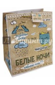 Пакет бумажный 26х32.4х12.7 Белые ночи (77277)