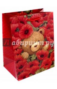 Пакет подарочный ламинированный (180х227х100 мм) (M 2235)