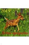 Календарь 2019 "Дети природы" (70923)