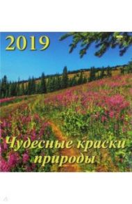 Календарь 2019 "Чудесные краски природы" (45905)